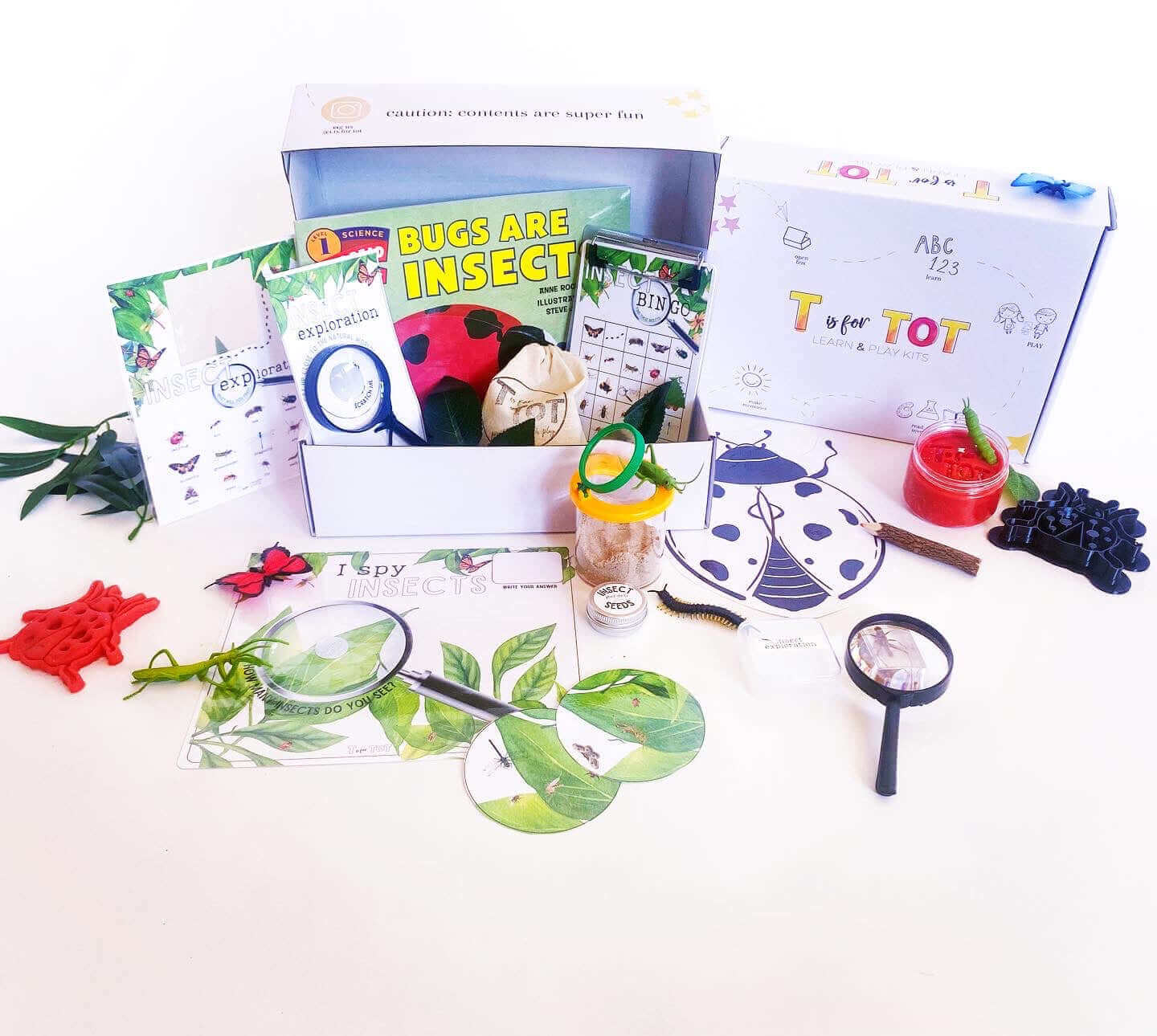 Insect Exploration Kit for Kids Aged 3-6 - Educational Activities