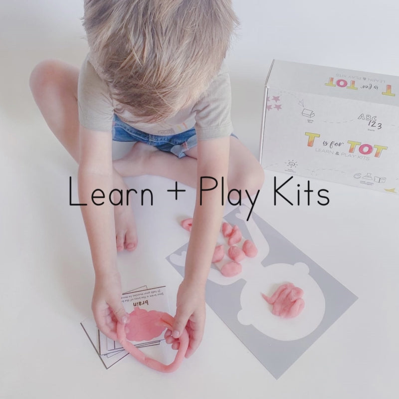 T Is For Tot Human Body Kit For Ages 3-6