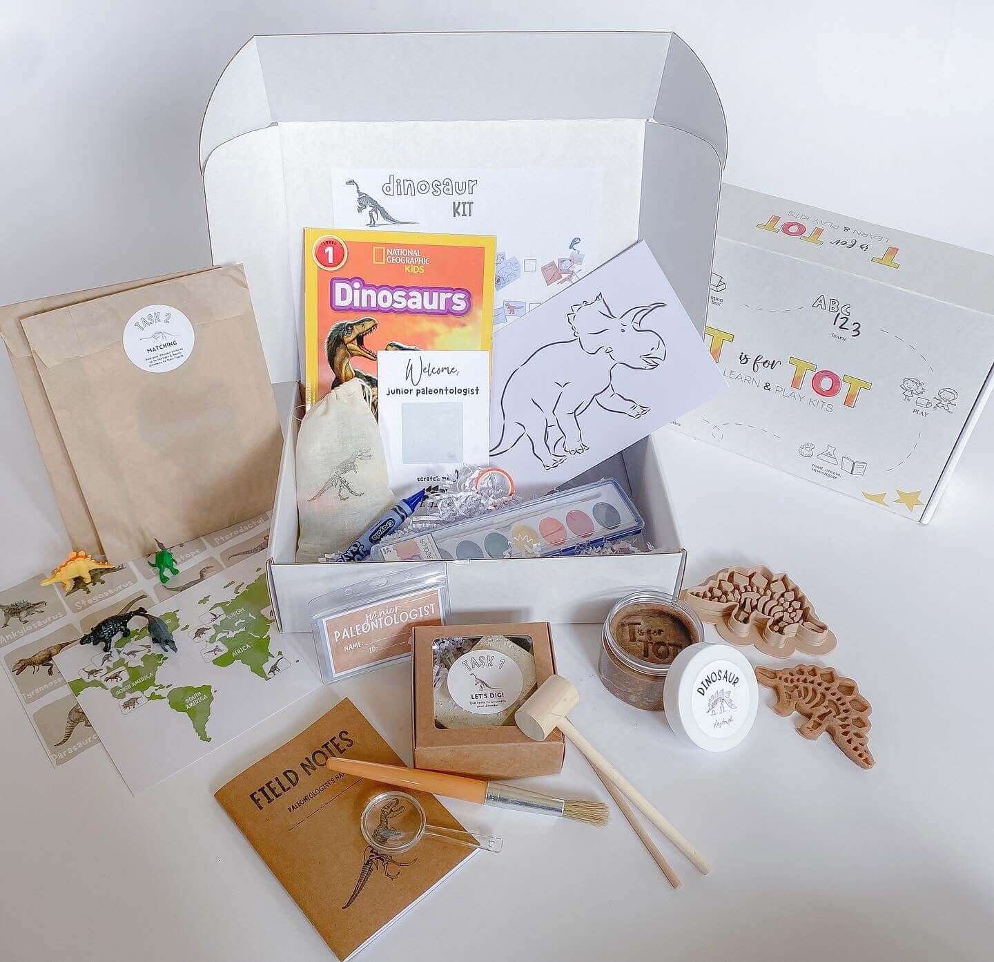 Interactive Dinosaur Learning Kit for Preschoolers